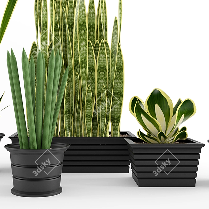 Exotic Snake Plant Duo 3D model image 2