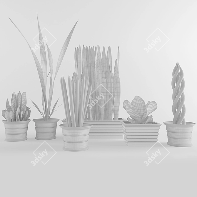 Exotic Snake Plant Duo 3D model image 3