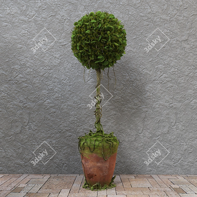 Decorative Potted Tree 3D model image 1