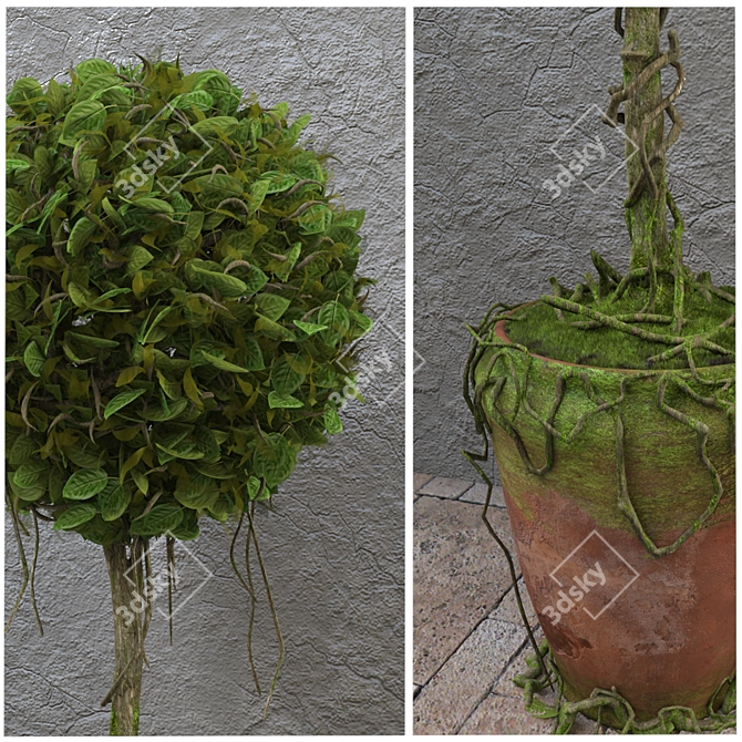 Decorative Potted Tree 3D model image 2