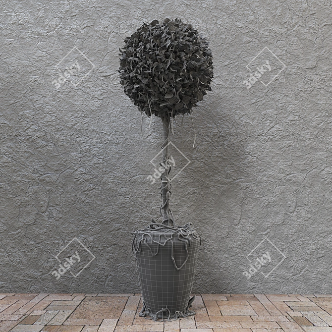 Decorative Potted Tree 3D model image 3