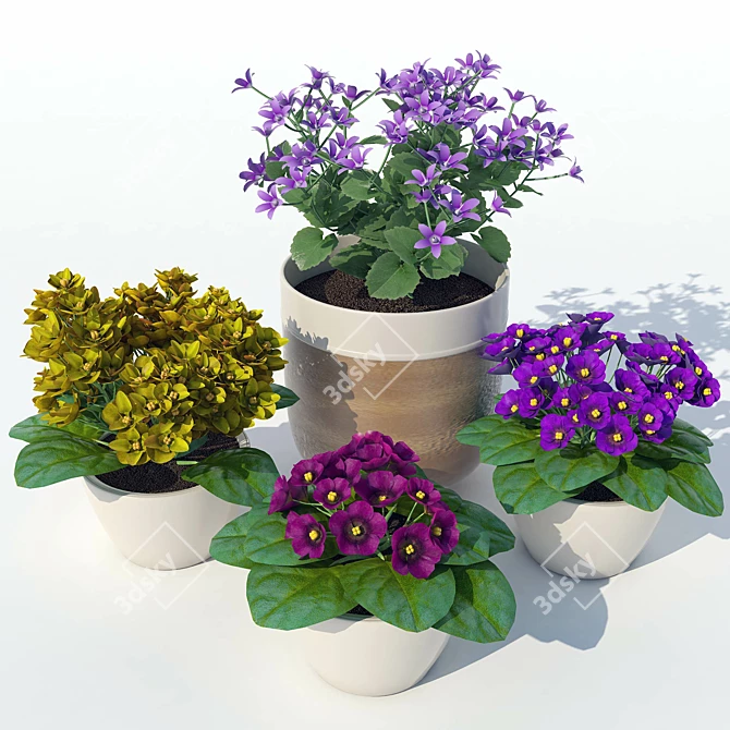 Blooming Beauty: Primrose 3D model image 1