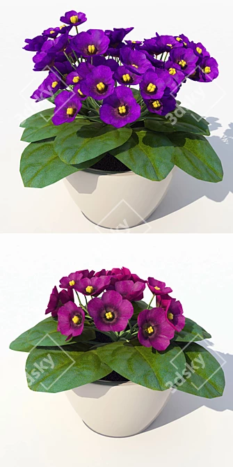 Blooming Beauty: Primrose 3D model image 2