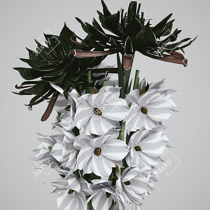 Elegant Narcissus Vase - Limited Edition 3D model image 3