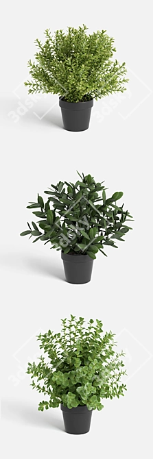 Vibrant Plant Collection 3D model image 2