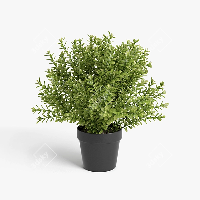 Vibrant Plant Collection 3D model image 4