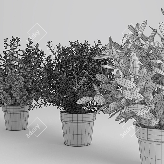 Vibrant Plant Collection 3D model image 7