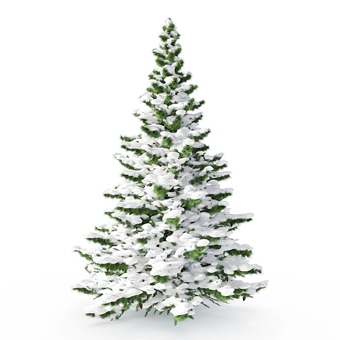  Majestic Pine Tree - 2.5m 3D model image 2