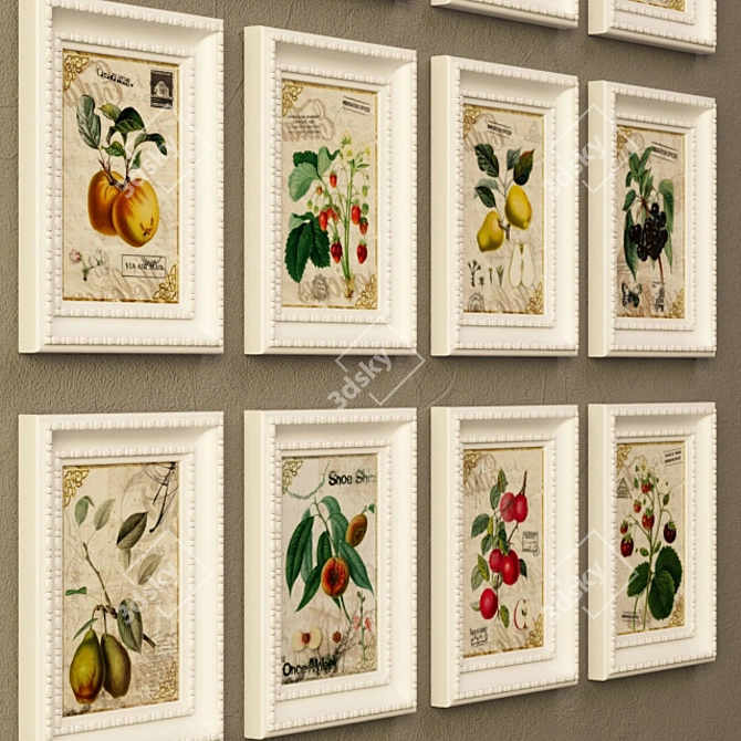 Botanique Frames: Berry & Fruit Pictures 3D model image 3