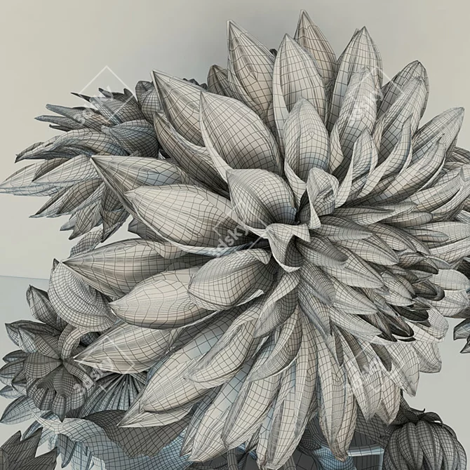 Dazzling Dahlias: Blooming Beauty 3D model image 3