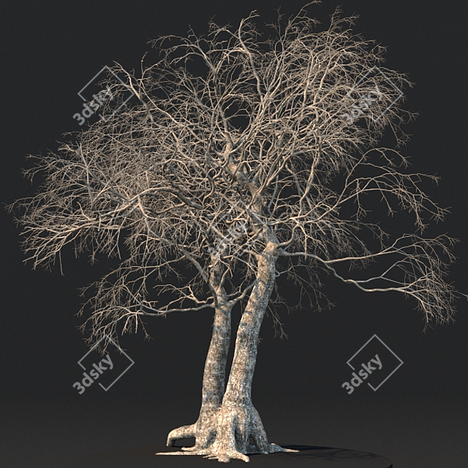 Eternal Timber: 3D Dead Tree 3D model image 1