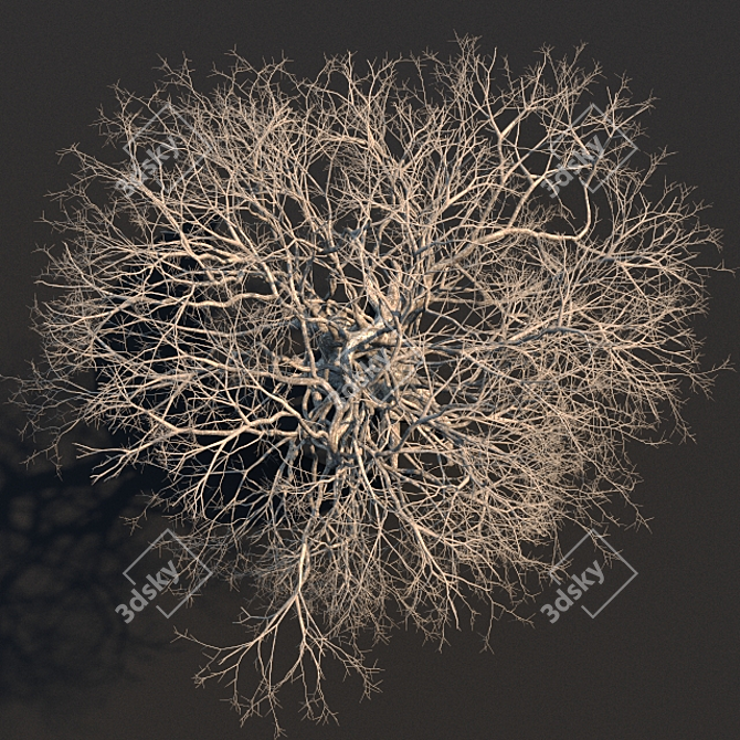 Eternal Timber: 3D Dead Tree 3D model image 2