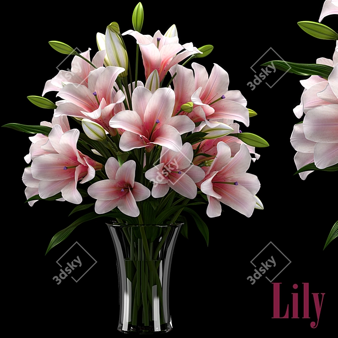 LILY 2 - Versatile 3D Model 3D model image 1