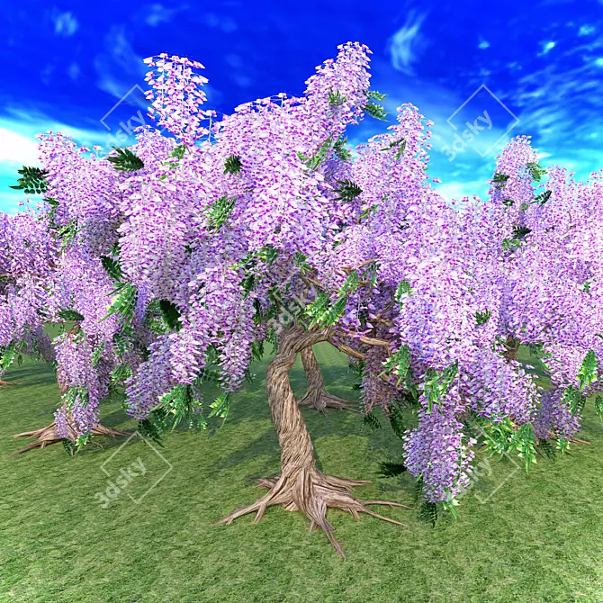 Elegant Wisteria Tree 3D model image 2