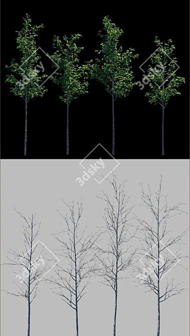 Growing Green: 2m Tall Tree Models 3D model image 2