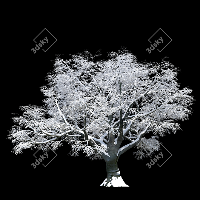 Snow Beech Tree: Winter Wonderland 3D model image 2