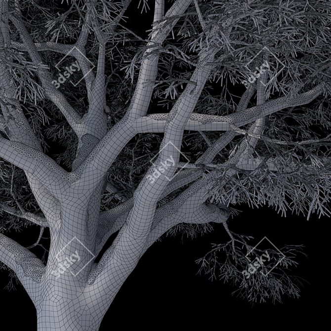 Snow Beech Tree: Winter Wonderland 3D model image 3