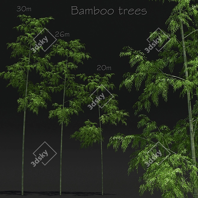 Bamboo Scatters: Natural Elegance for Your Space 3D model image 1