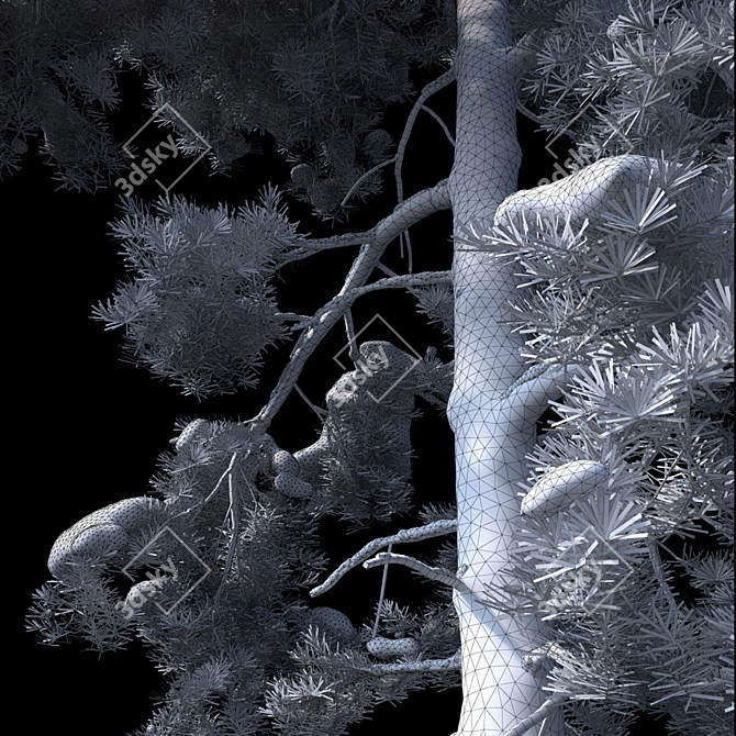 Snowy Pine Tree: Detailed, High-Poly 3D model image 3