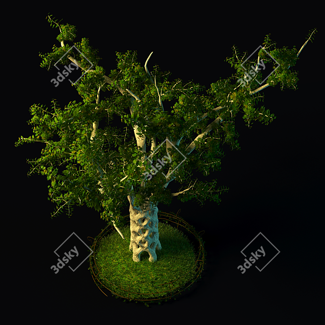 Sycamore Masterpiece: Living Arbors 3D model image 2