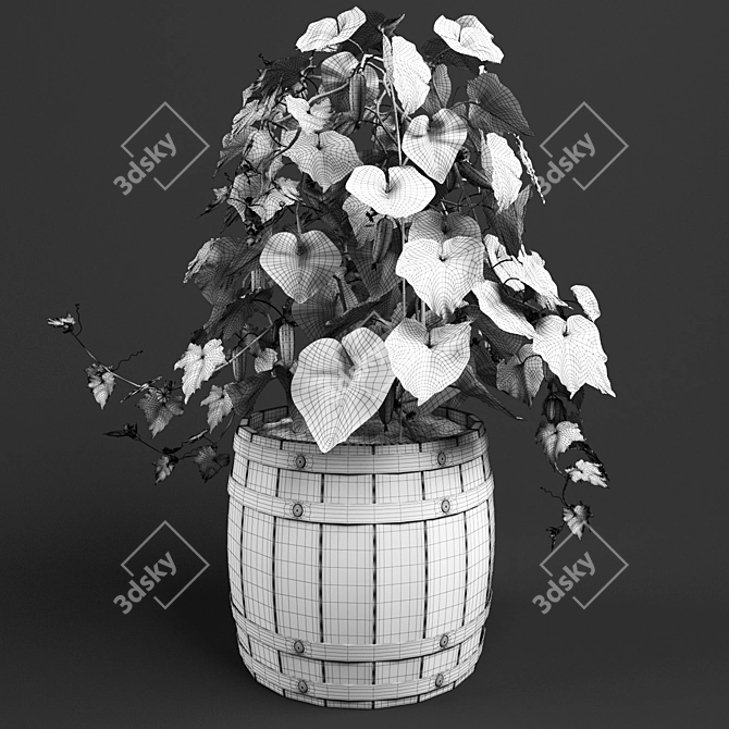  Barrel Bush Cucumber 3D model image 3