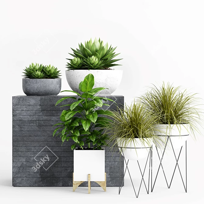 Botanical Beauties: Vibrant Plants & Stylish Planters 3D model image 1