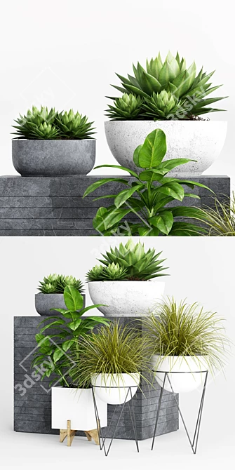 Botanical Beauties: Vibrant Plants & Stylish Planters 3D model image 3