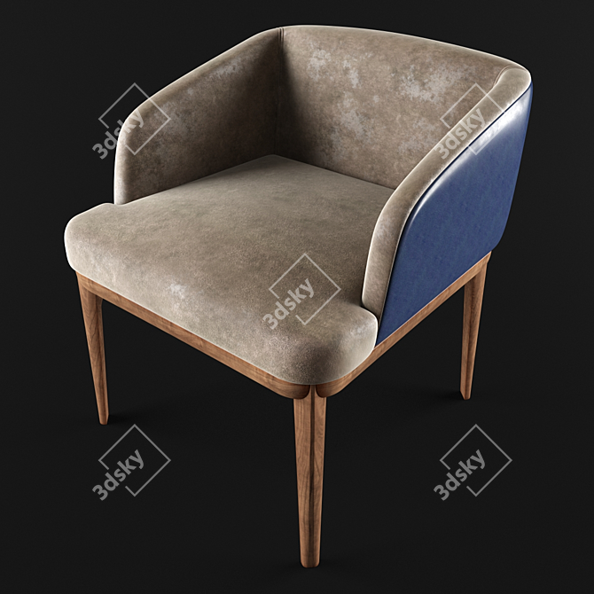 Elegant Ulivi Anita Chair 3D model image 3