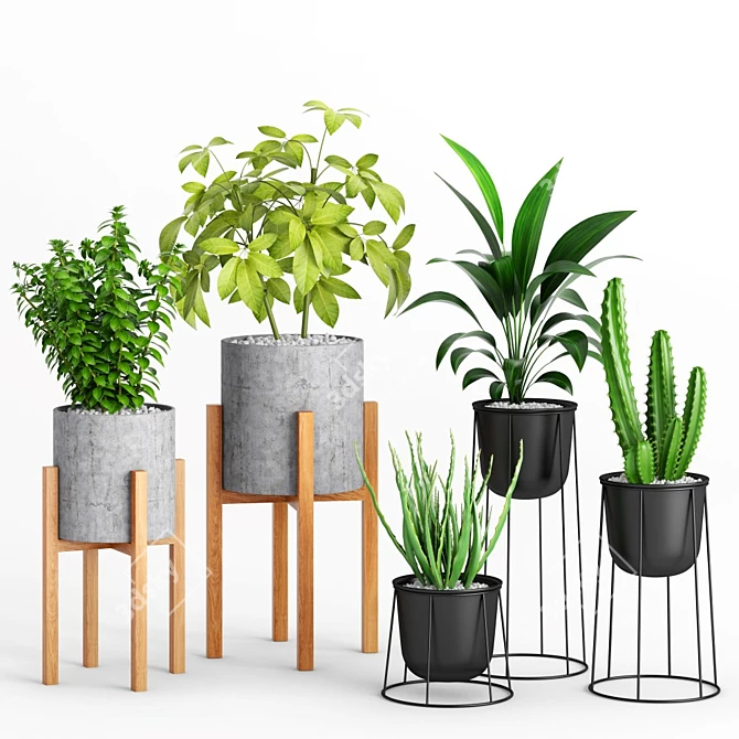 Wooden Leg Planters Set 3D model image 1