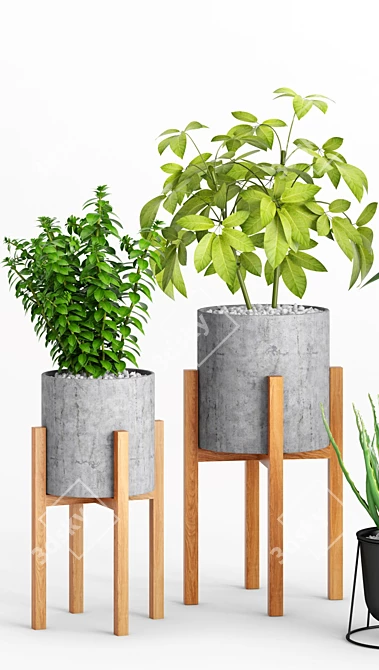 Wooden Leg Planters Set 3D model image 3