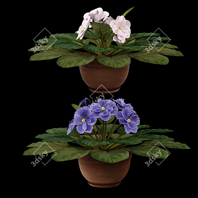 Elegant Violet Pot Plants 3D model image 1