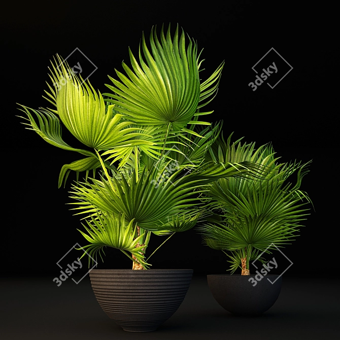 Tropical Vibes: Palm Tree Pot 3D model image 1