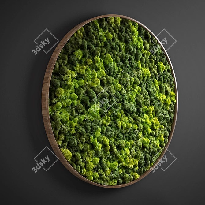 Moss Circle Panel: D800mm, UV Mapped 3D model image 4