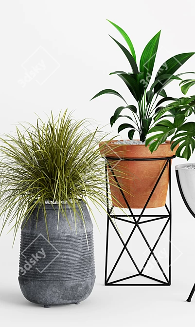 Modern Planters & Lush Greenery 3D model image 3