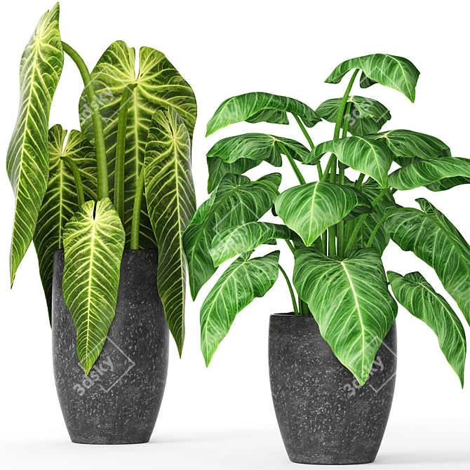 Greenery in Pots Collection 3D model image 1