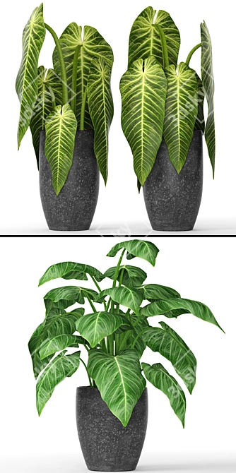 Greenery in Pots Collection 3D model image 2