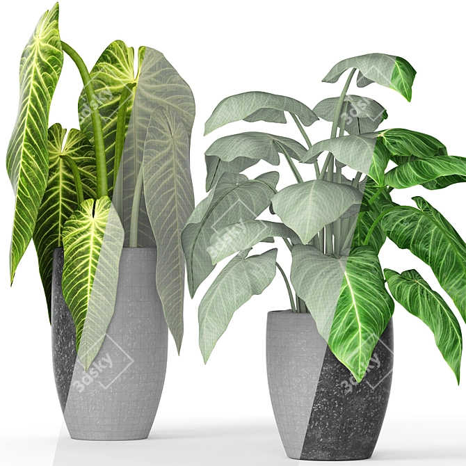 Greenery in Pots Collection 3D model image 3