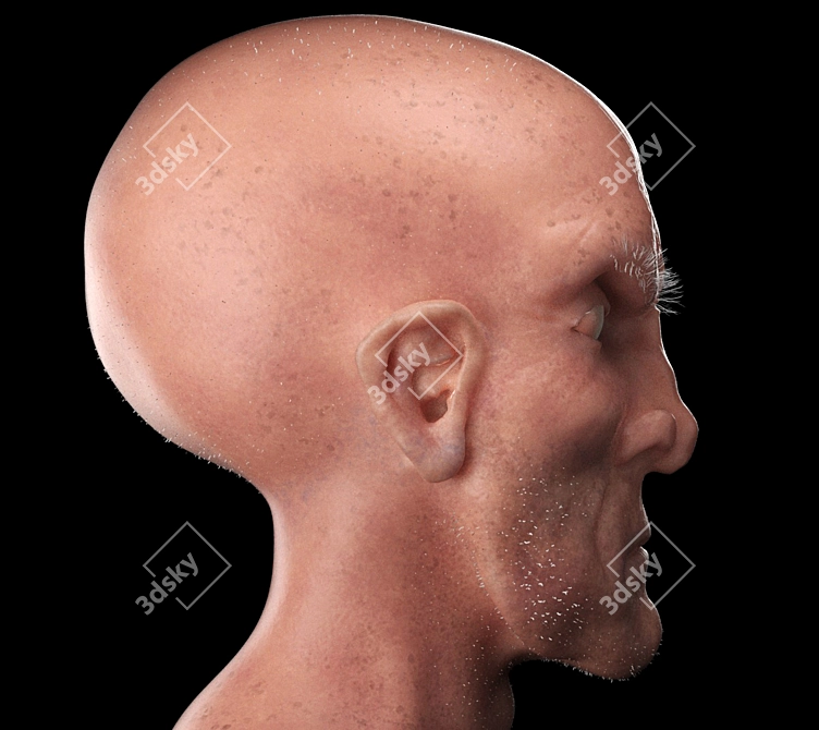 Sculpted Head Décor: Style & Sophistication 3D model image 3