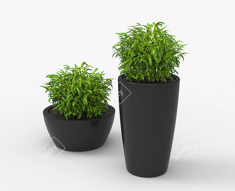 Blooming Potted Plant 3D model image 1