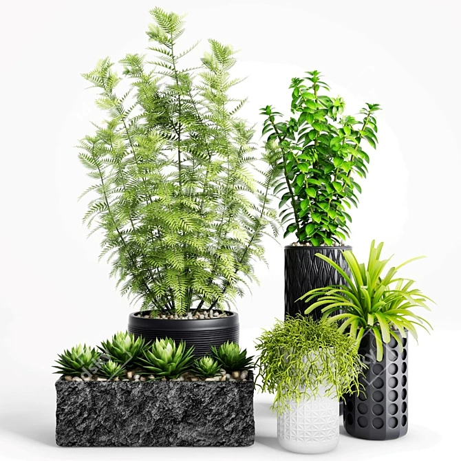 Exquisite Plants & Planters Set 3D model image 1