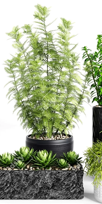 Exquisite Plants & Planters Set 3D model image 2