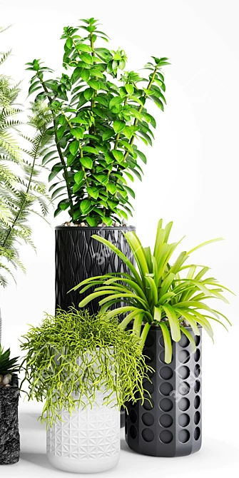 Exquisite Plants & Planters Set 3D model image 3