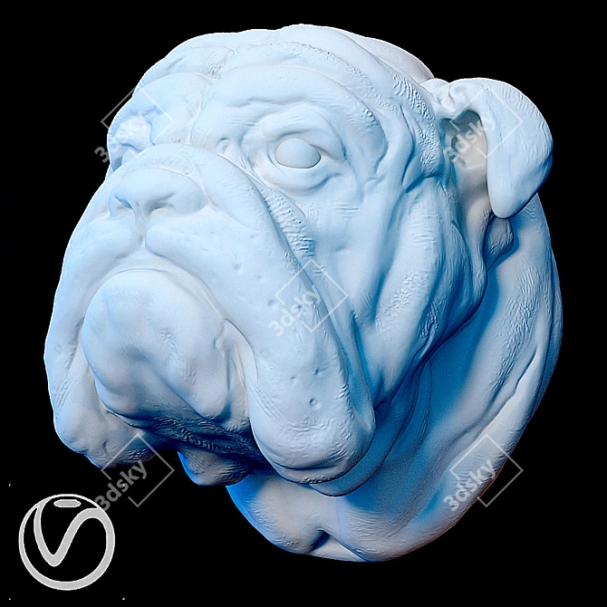 English Bulldog Plaster Head 3D model image 1