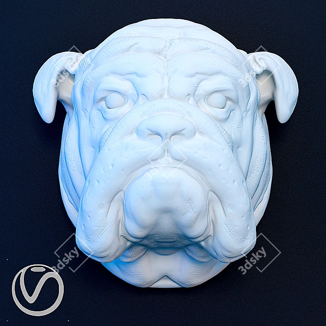 English Bulldog Plaster Head 3D model image 2