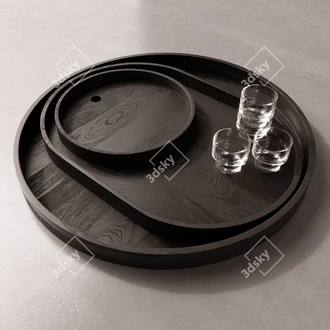 Elegant Shaker Trays by Norm 3D model image 1