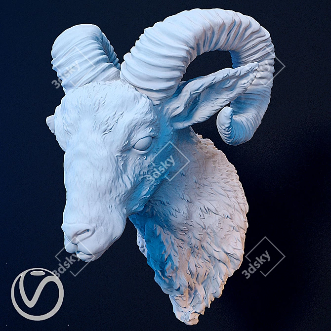 Ram's Head Plaster Sculpture 3D model image 2