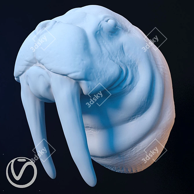 Walrus Head Sculpture 3D model image 1