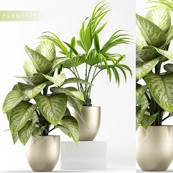 Greenery Collection: MAX2015,2012 & Obj 3D model image 1