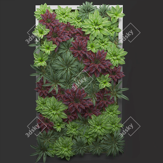 3-in-1 Herbal Fitostena 3D model image 1