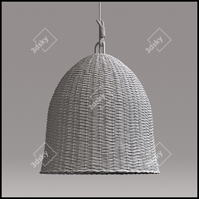 Resto Hard Seagrass Pendant 3D model image 2